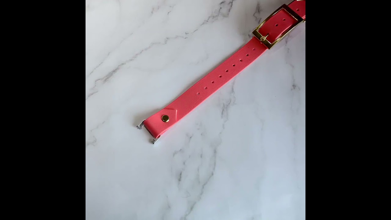 Fi Compatible Collars