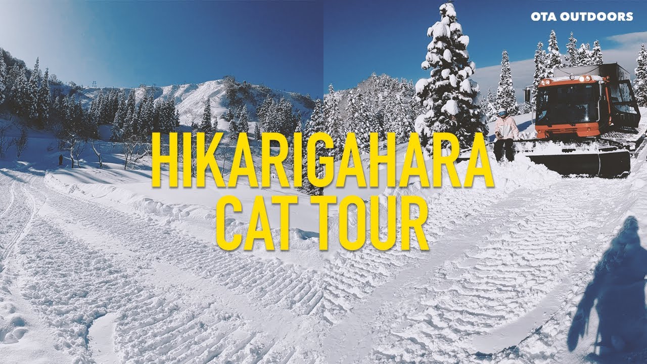 HIKARIGAHARA CAT TOUR / OTAOUTDOORS