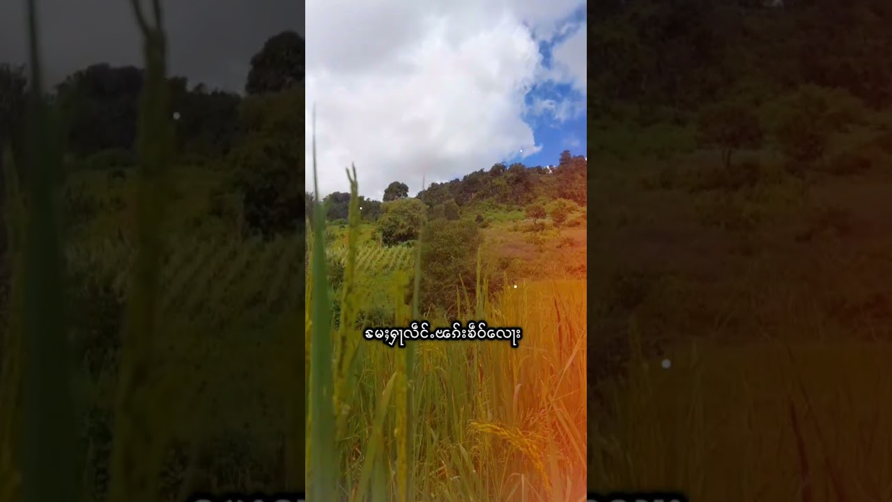 မူဝ်သမ်လူင်ႇ 