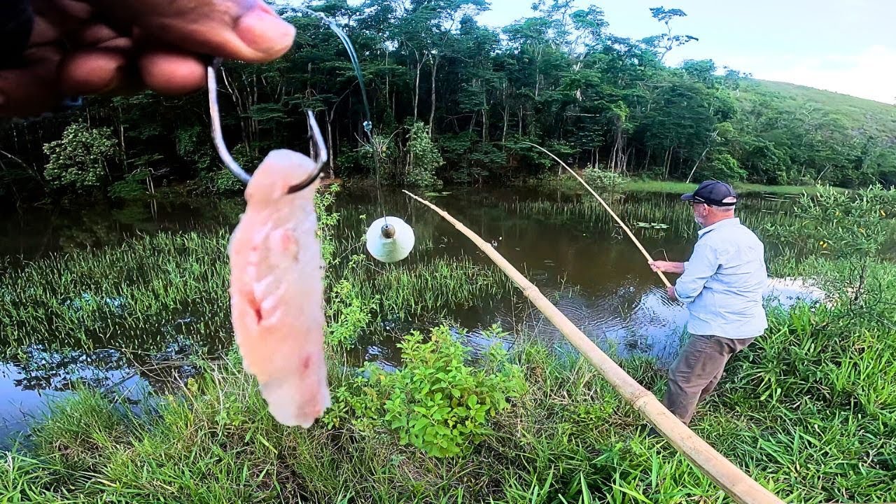 DEVORAVAM TUDO DEPOIS DAS ENCHENTES!! Muita traíra na Vara de Bambu Caipira