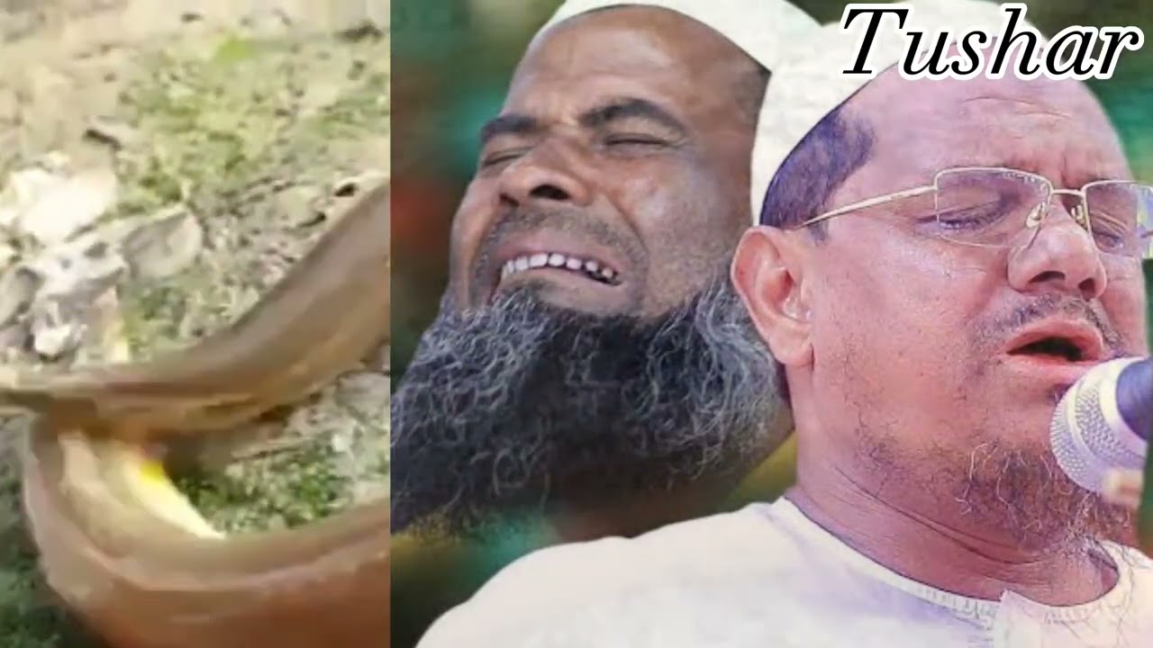 কঠিন কান্না চরমোনাই বাইম মাছ নিয়ে 😄 #viral #funny #waz