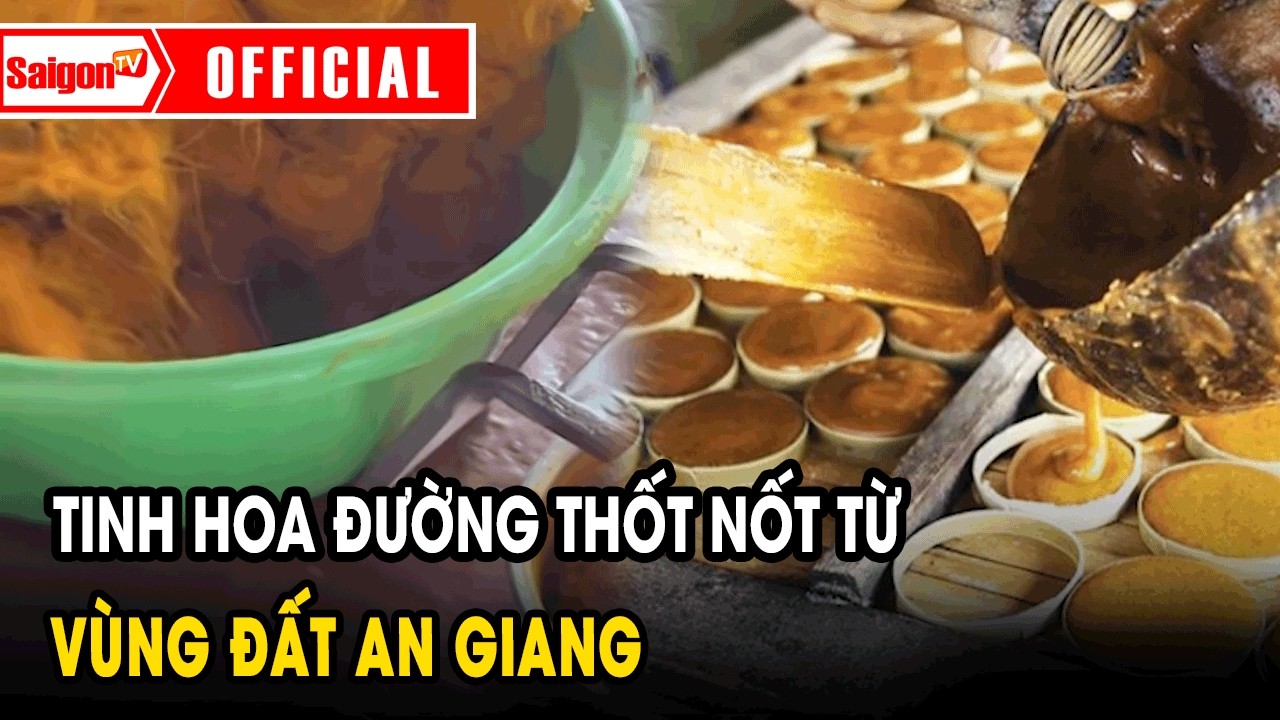 Tinh hoa đường thốt nốt từ vùng đất An Giang | Tin tức SaigonTV