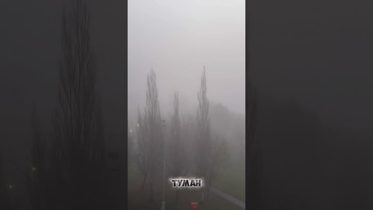 Туманный непрогляд 