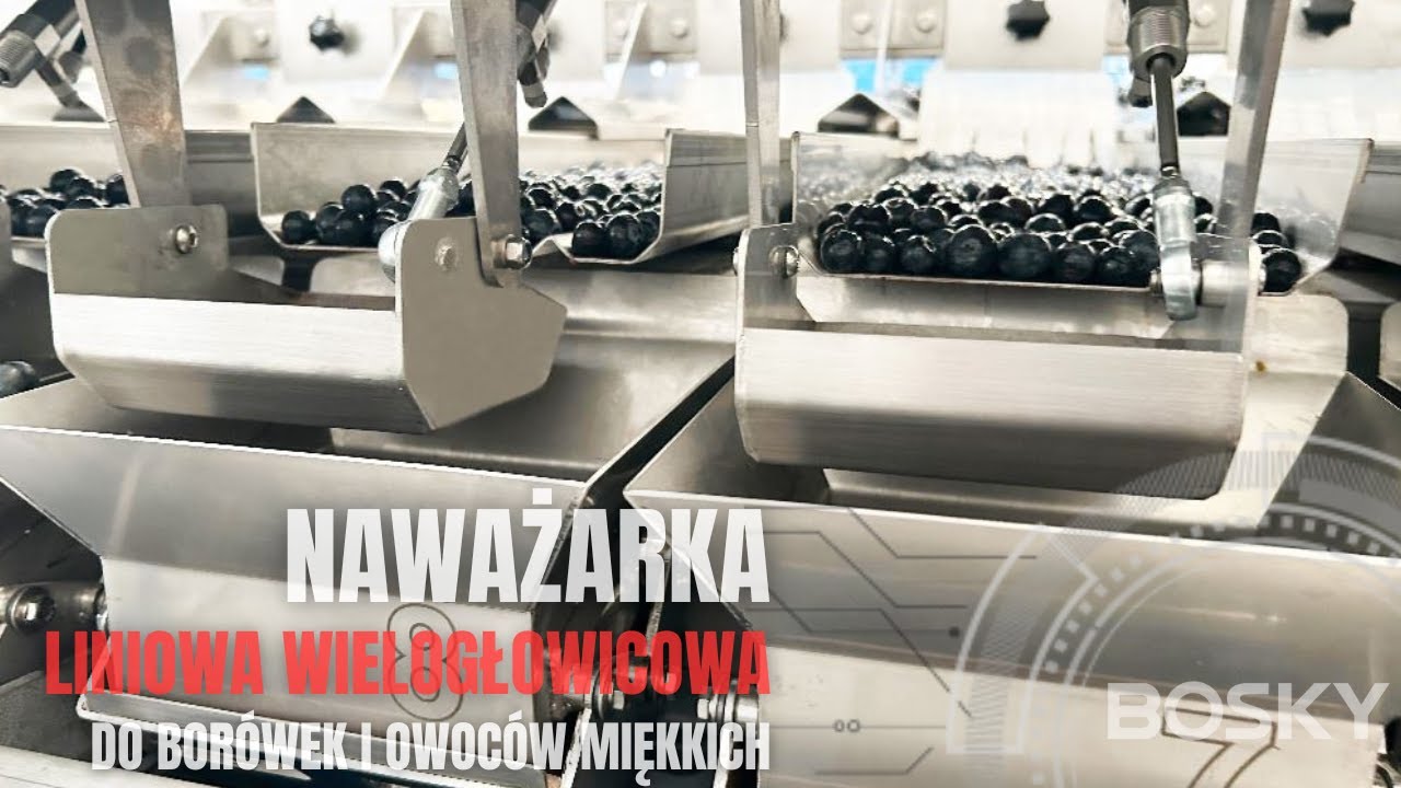 Naważarka liniowa do borówek i owoców miękkich 🫐 Induser