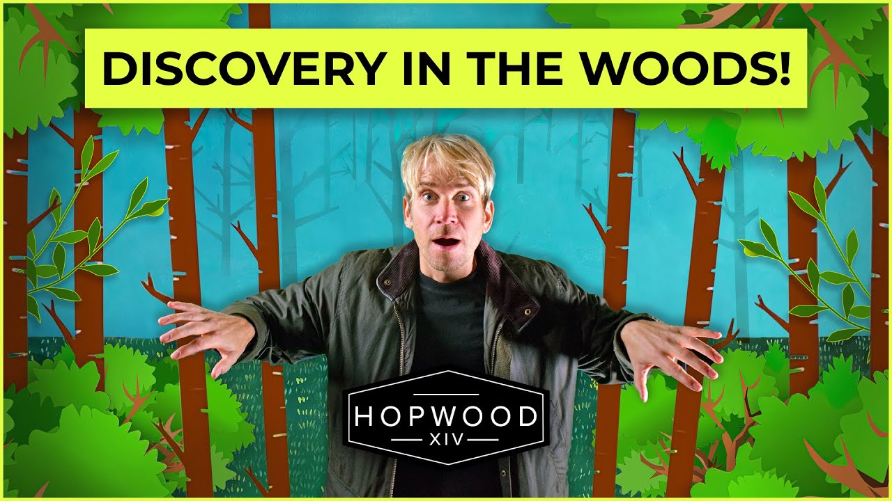 DISCOVERY IN THE WOODS!