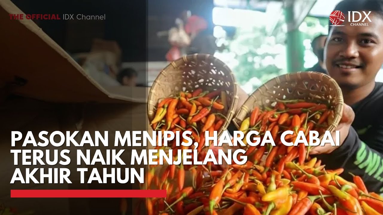 Pasokan Menipis, Harga Cabai Terus Naik Menjelang Akhir Tahun | 1ST SESSION CLOSING