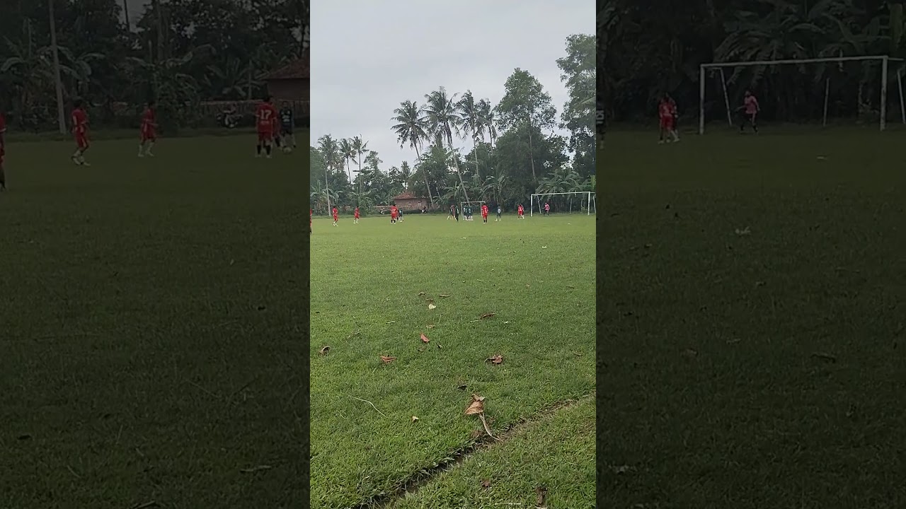 Pagar berhasil menghalau