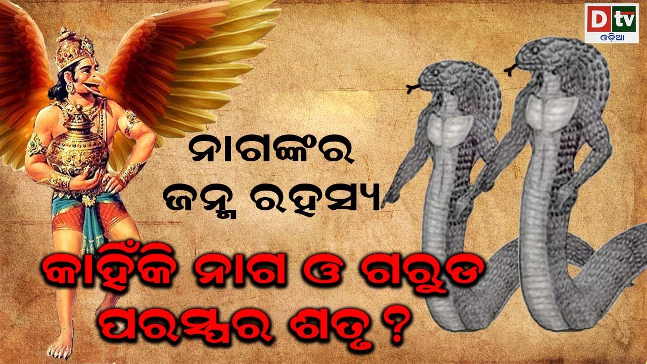 ନାଗଙ୍କର ଜନ୍ମ ରହସ୍ୟ, କାହିଁକି ନାଗ ଓ ଗରୁଡ଼ ପରସ୍ପର ଶତ୍ରୁ ? | Odia Devotional Dtv odia.