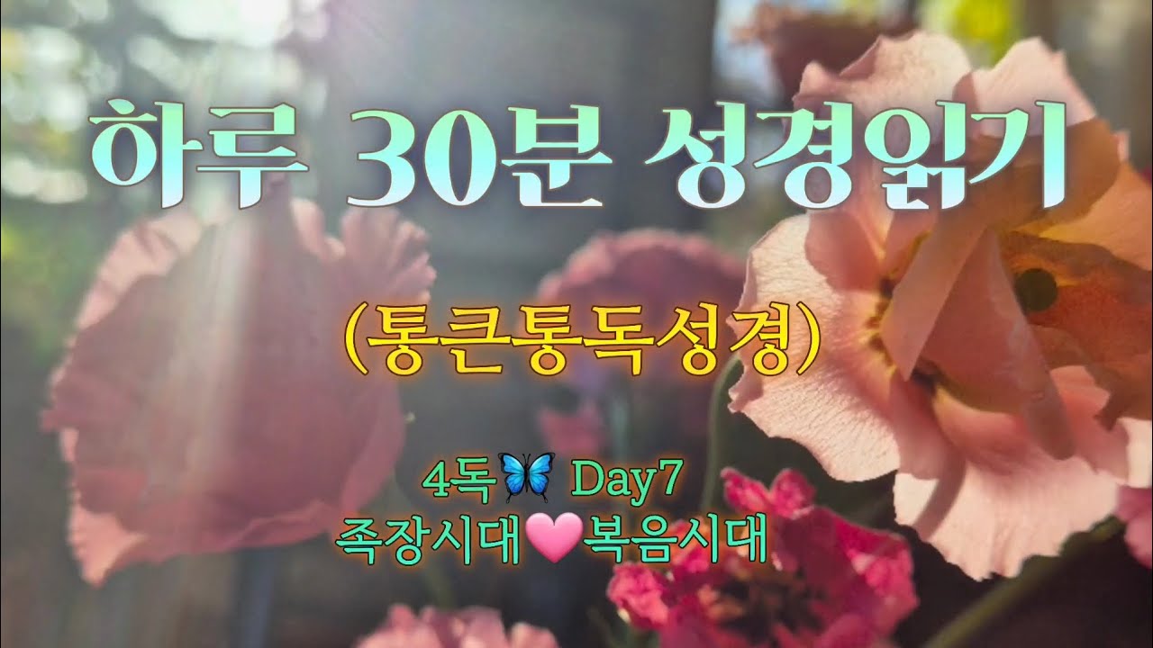 매일 성경 읽기 🦋 7일차 |족장시대🩷복음시대| 말씀으로 하루를 삽니다💌