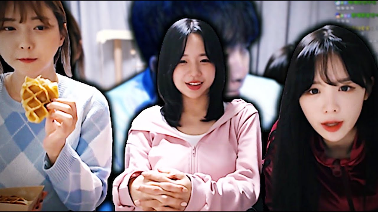 집에서 응원 해주고있는 분들이 있습니다