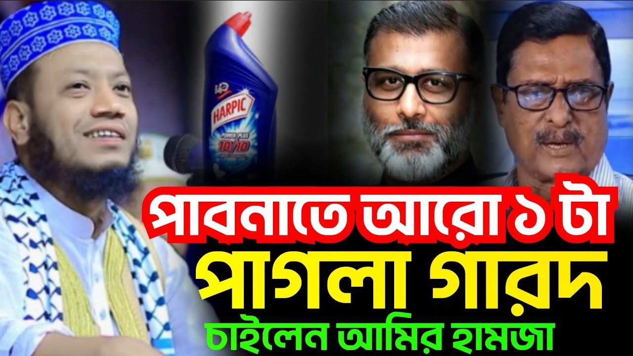 রেগে গিয়ে চড় মাড়তে চায়লেন,আমির হামজা,/পাগলা গারদ বসাতে চায়লে আরো।। পাবনা, দাপুনিয়া