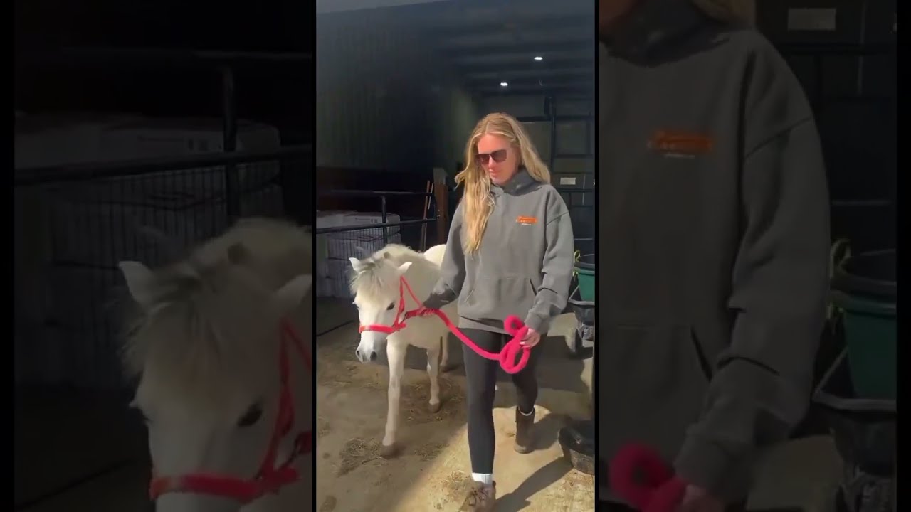 Snaps 03/13 part 1 part 2 and part 3 katievanslyke 