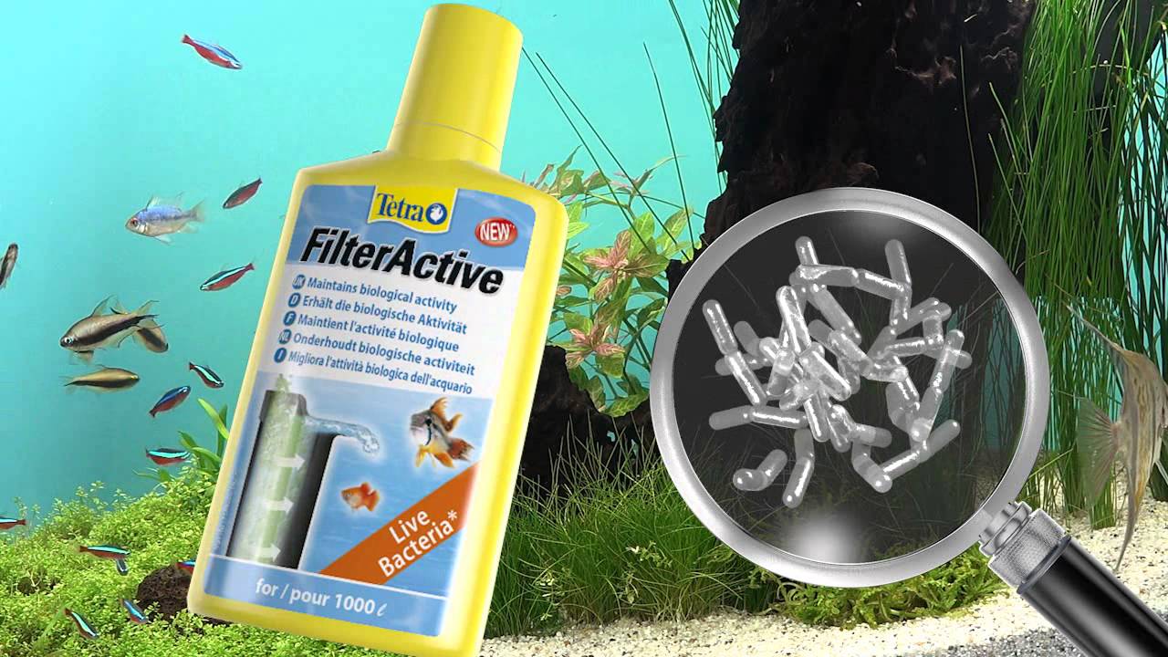 Tetra SafeStart и FilterActive