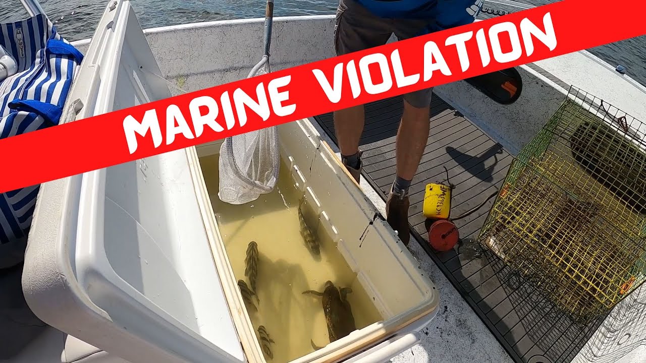 Marine Patrol called me at work!