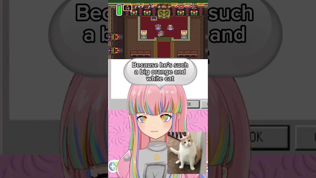 THIS CAT IS WHAT ALL TRUE WARRIORS STRIVE FOR 