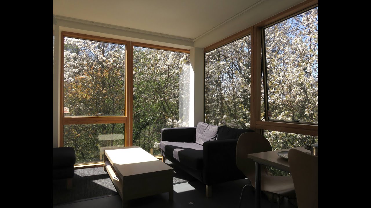 جولة سريعة في السكن الجامعي University of Kent - Canterbury