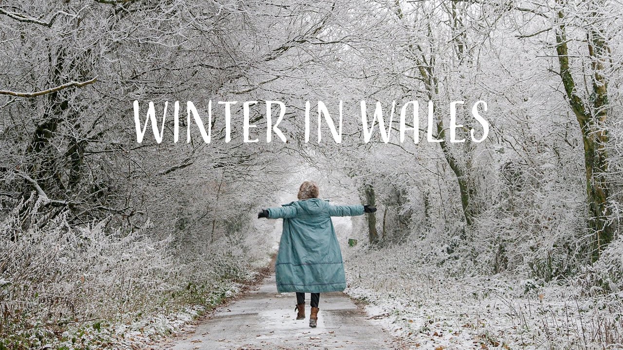 My Beautiful Town in Winter / 영국 눈 내린 겨울 풍경 / 웨일즈 겨울 왕국 서리꽃 자연과 동물들