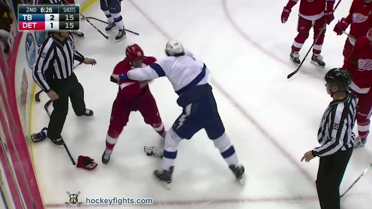 Brian Boyle vs Steve Ott Nov 15, 2016