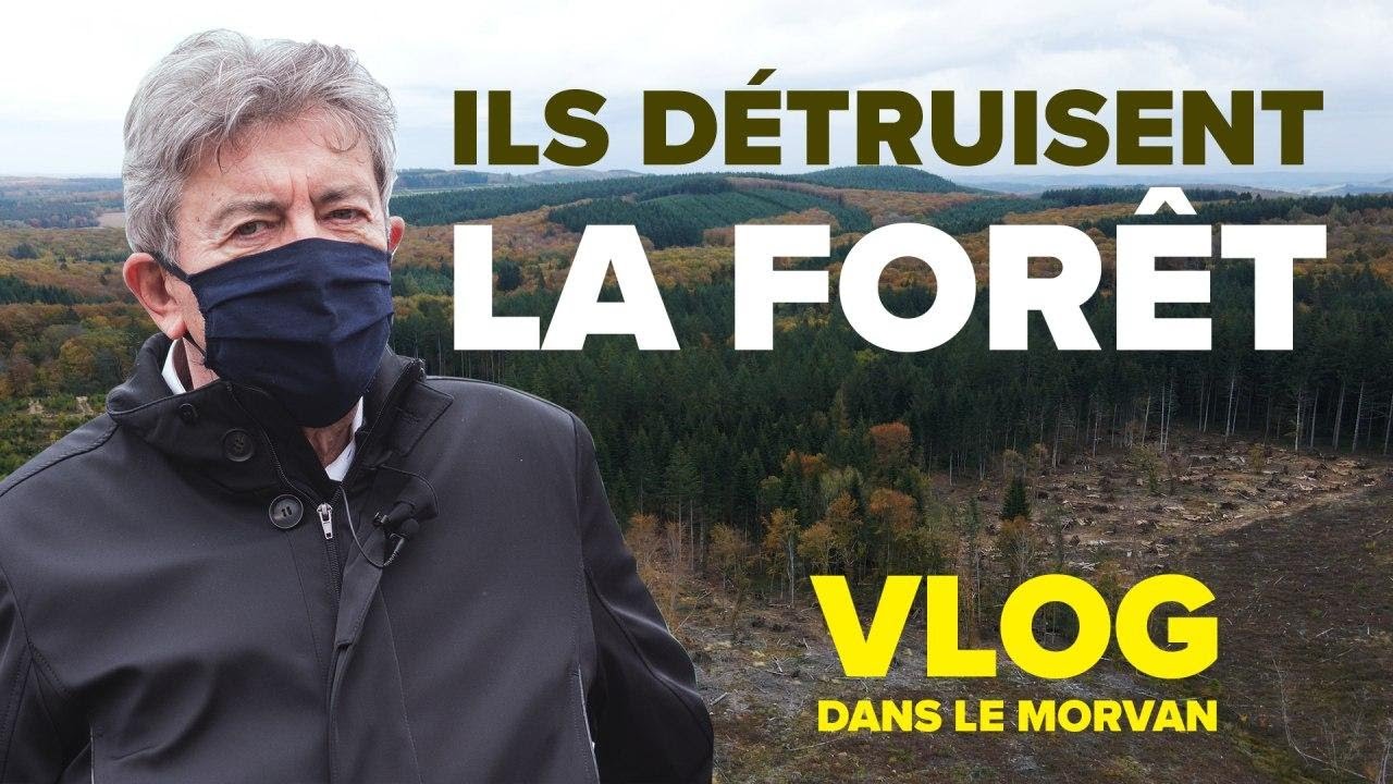VLOG - Ils détruisent la forêt