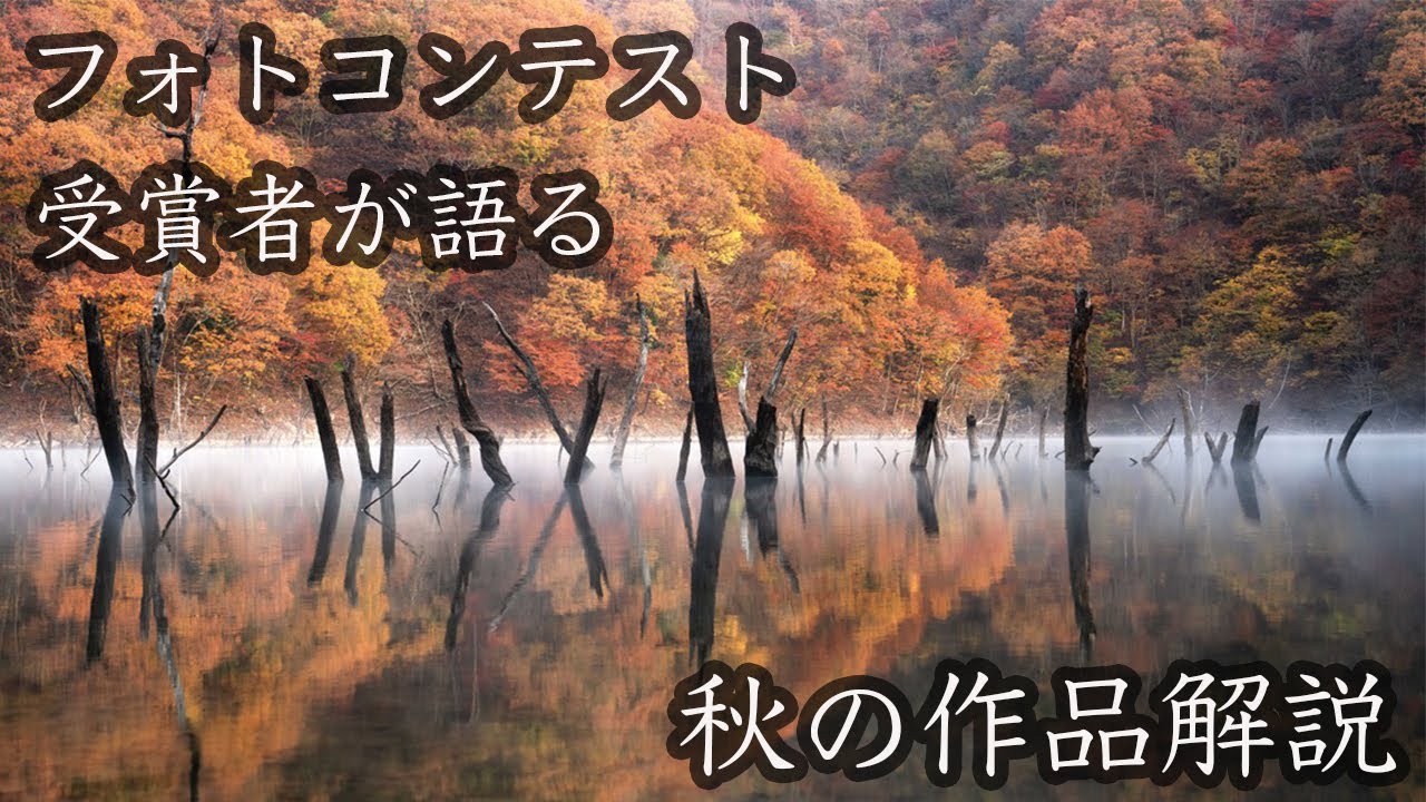 【解説】過去撮影した秋の写真作品振り返り！撮影方法や考え方などを作品解説してみた