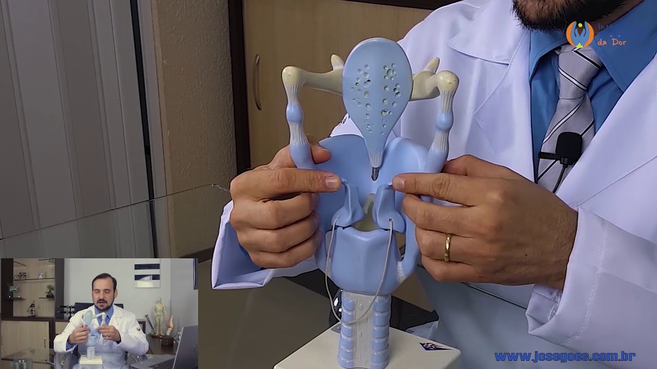 Anatomia Humana CARTILAGENS da LARINGE (PRÁTICA)