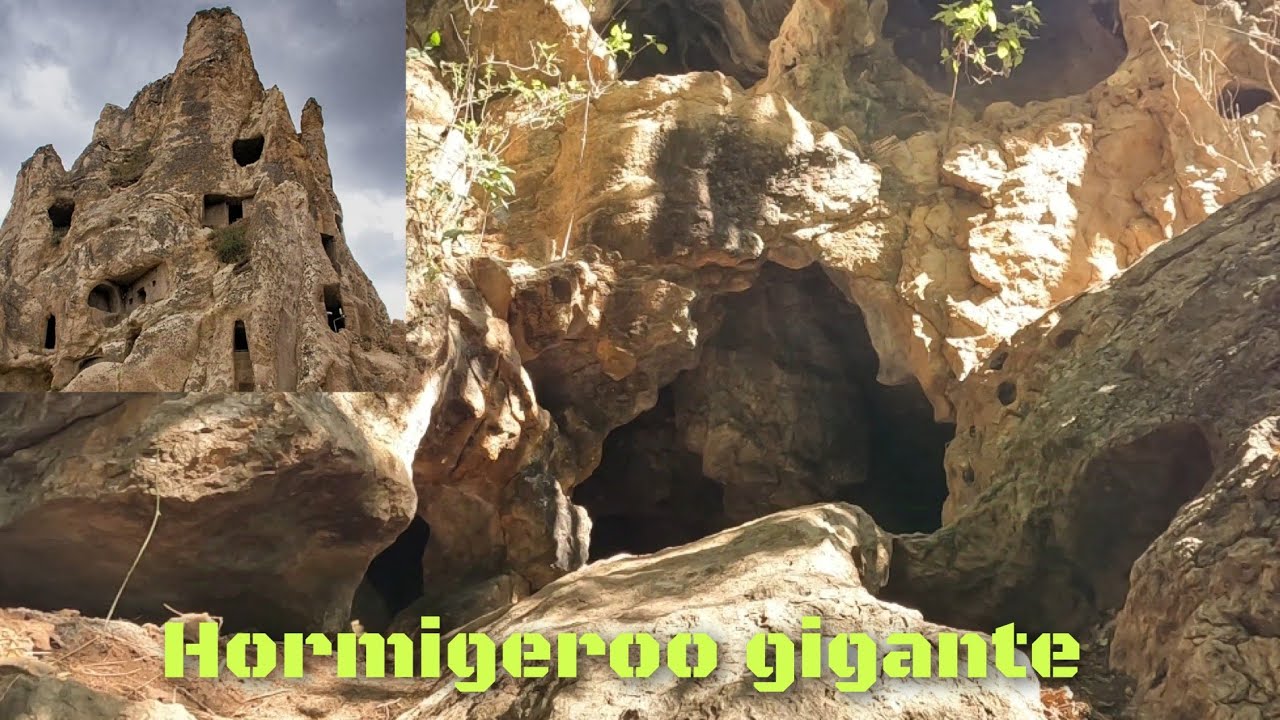 ENCONTRAMOS UN Hormiguero Gigante? #trepaventuras