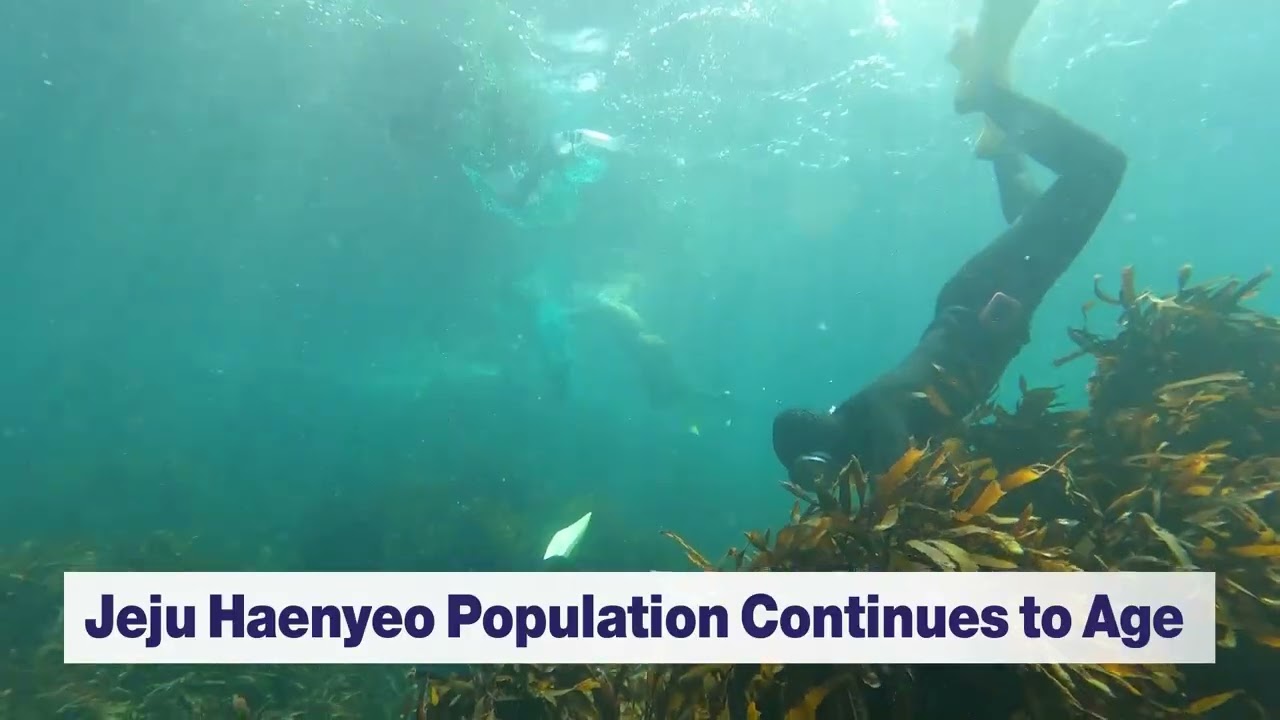 Jeju Haenyeo Population Continues to Age (26.01.21.) KCTV Jeju English News