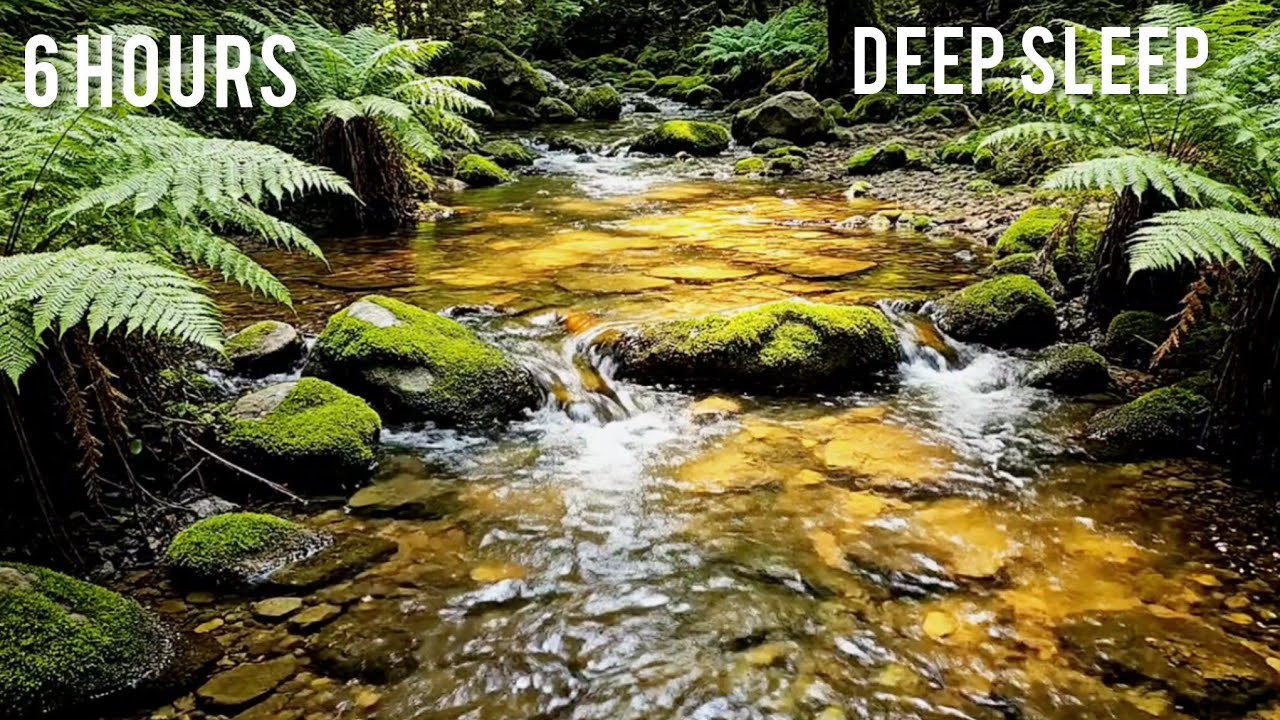 Forest Creek Sounds for Sleep: 6 Hours of Relaxing Water & Fern Forest Ambience @UNREFINEDWORLD 