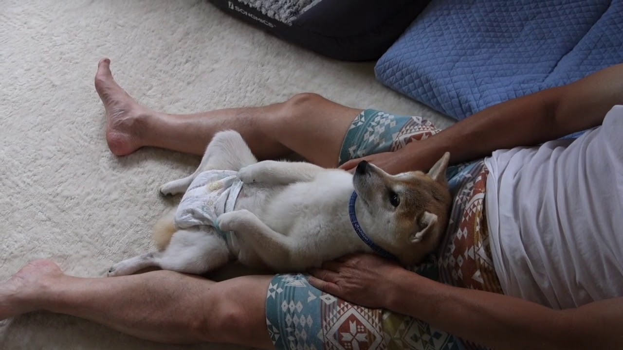 リハビリ？甘え？？夫とあん♡