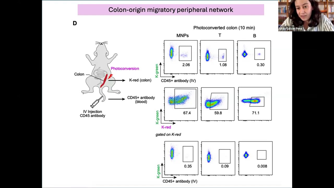 [Silvia Galv&aacute;n-Pe&ntilde;a] A dynamic atlas of immunocyte migration from the gut
