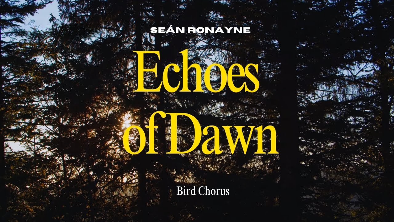 Echoes of Dawn: Bird Chorus in Romania | Recording by Se&aacute;n Ronayne