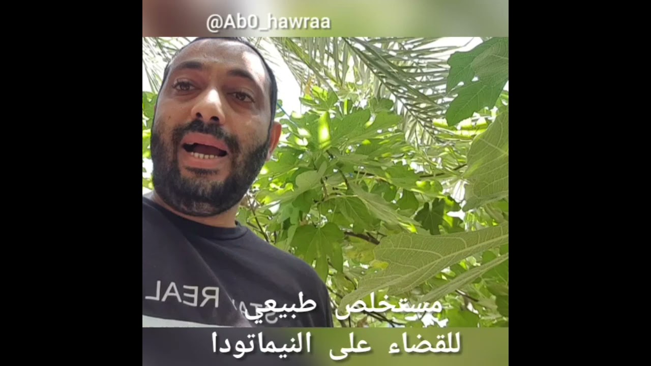 مكافحة النيماتودا بطرق طبيعية و رخيصة