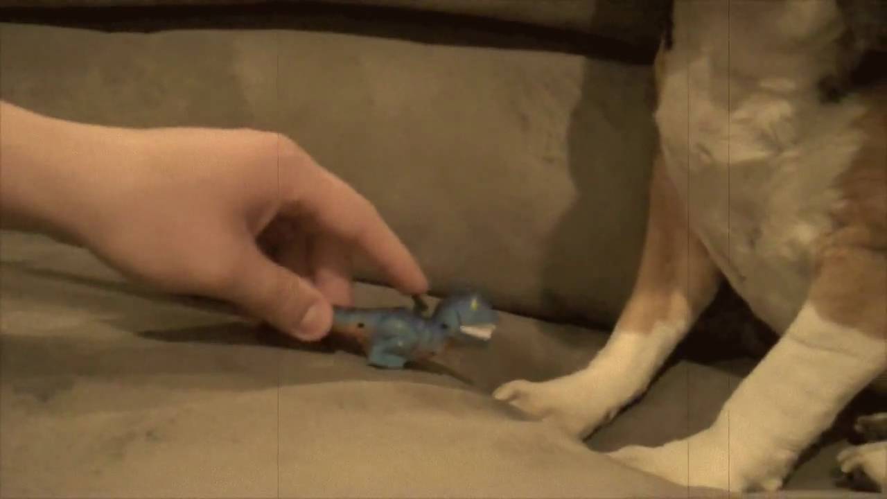 Dino 'Ventures