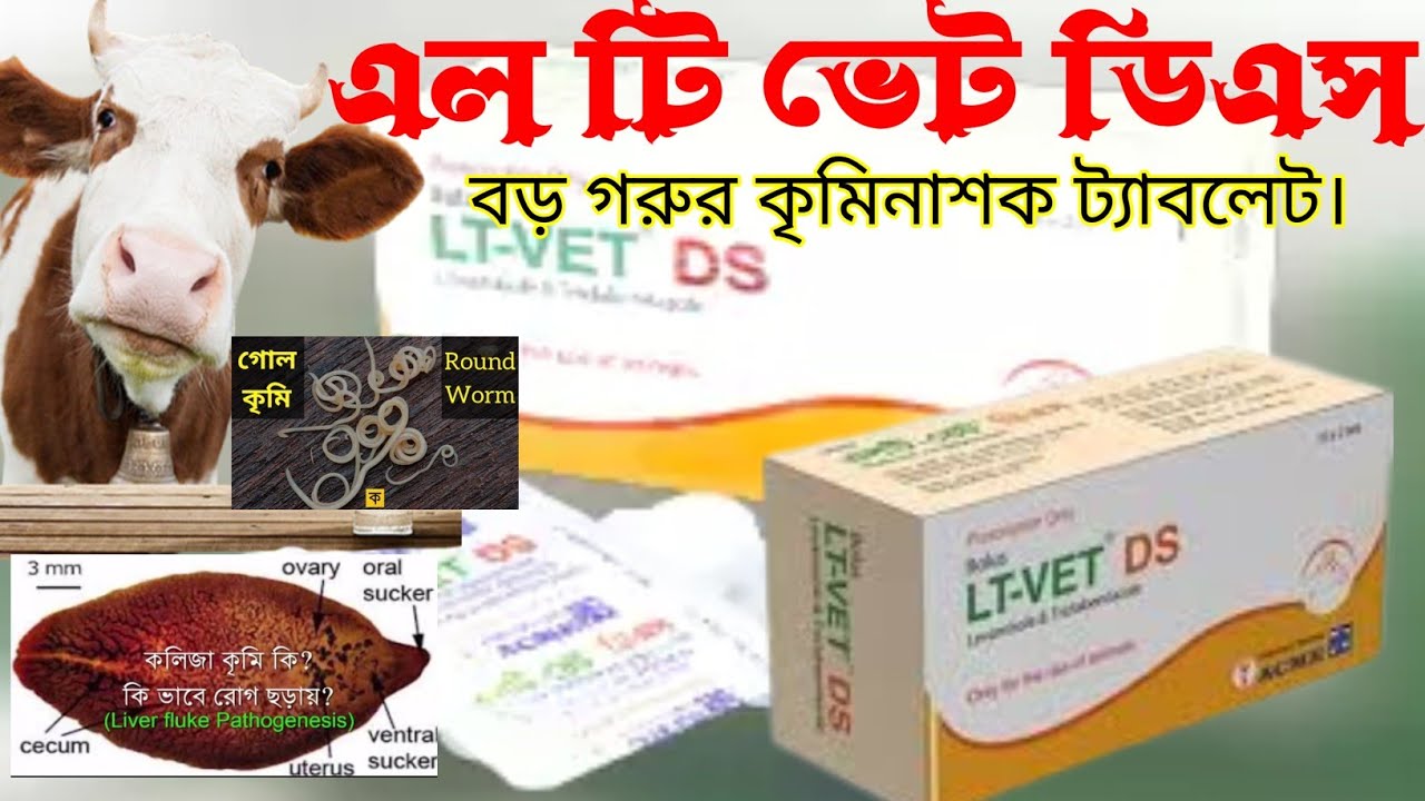 এলটি ভেট ডিএস এর কাজ কি দেখুন || LT vet ds || বড় গরুর কৃমি নাশক ট্যাবলেট || mollah krishi tv..