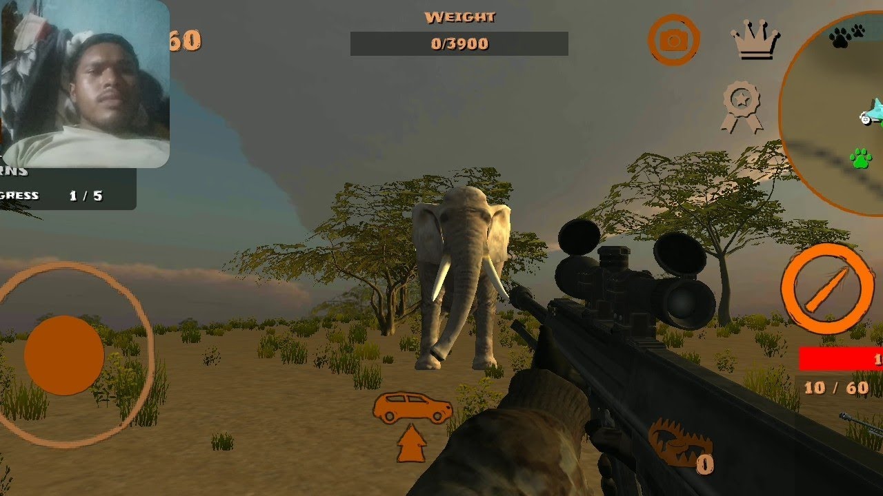 ELEPHANT JUNGLE MEIN AA GAYA ANIMAL HUNTING 