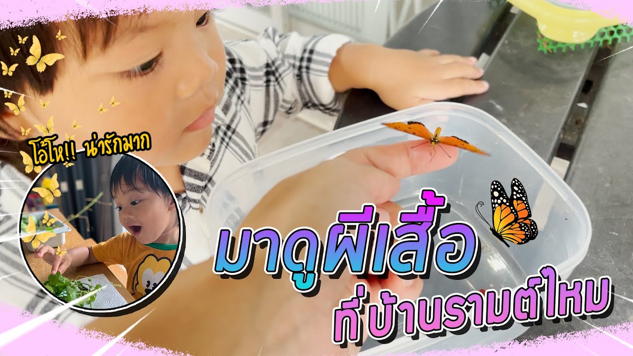 VogVlog EP.47 |  เมื่อ 'น้องรามต์' ชวนไปดูผีเสื้อที่บ้าน งานนี้มีน้ำตา!! 💜🦋