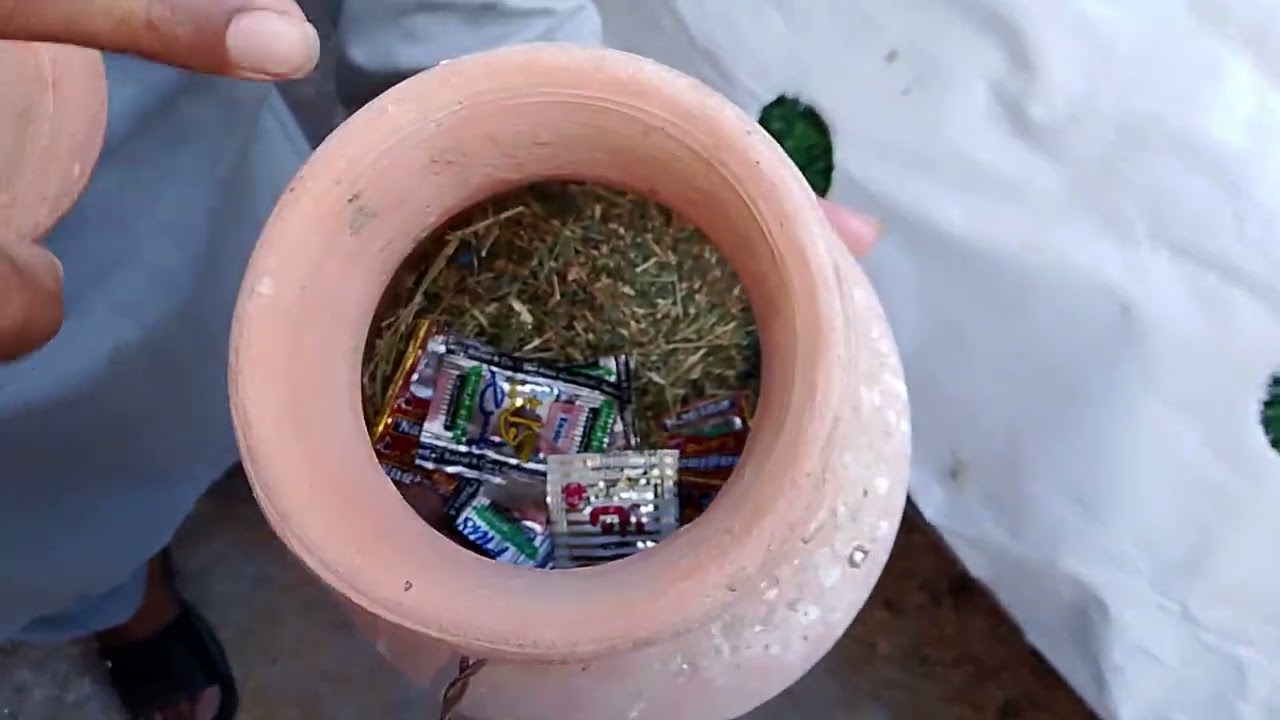 MashAllah my java home bred... 😊🤗🥳