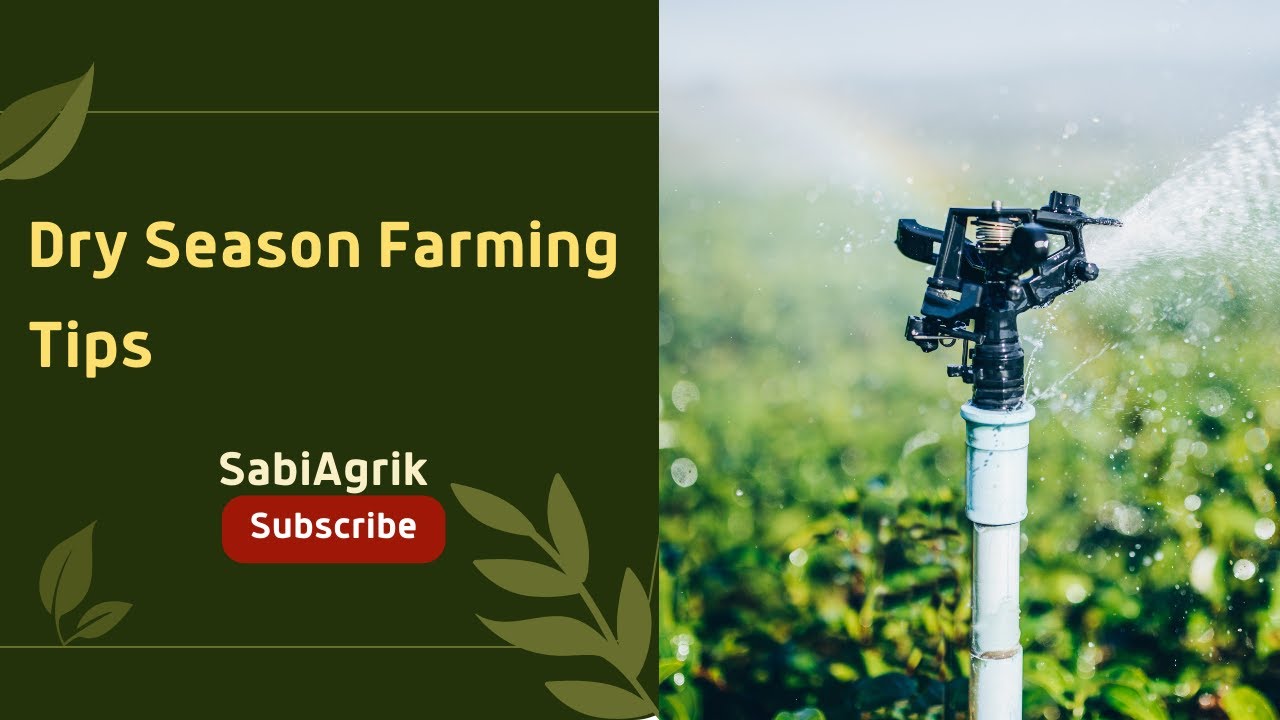 Dry Season Farming Tips