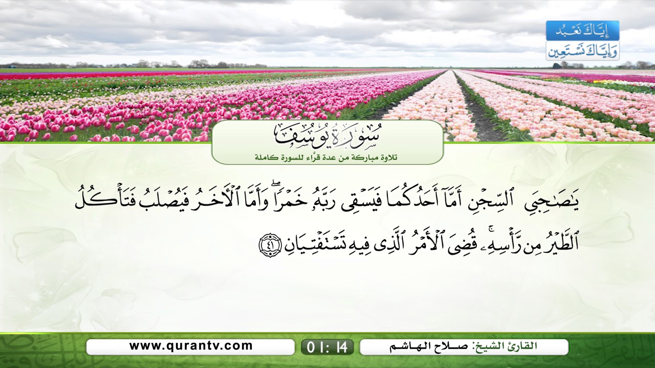 سورة يوسف | سعد الغامدي | فؤاد الخامري | د. عبد الله بصفر | نبيل الرفاعي | صلاح الهاشم | يحي حوى