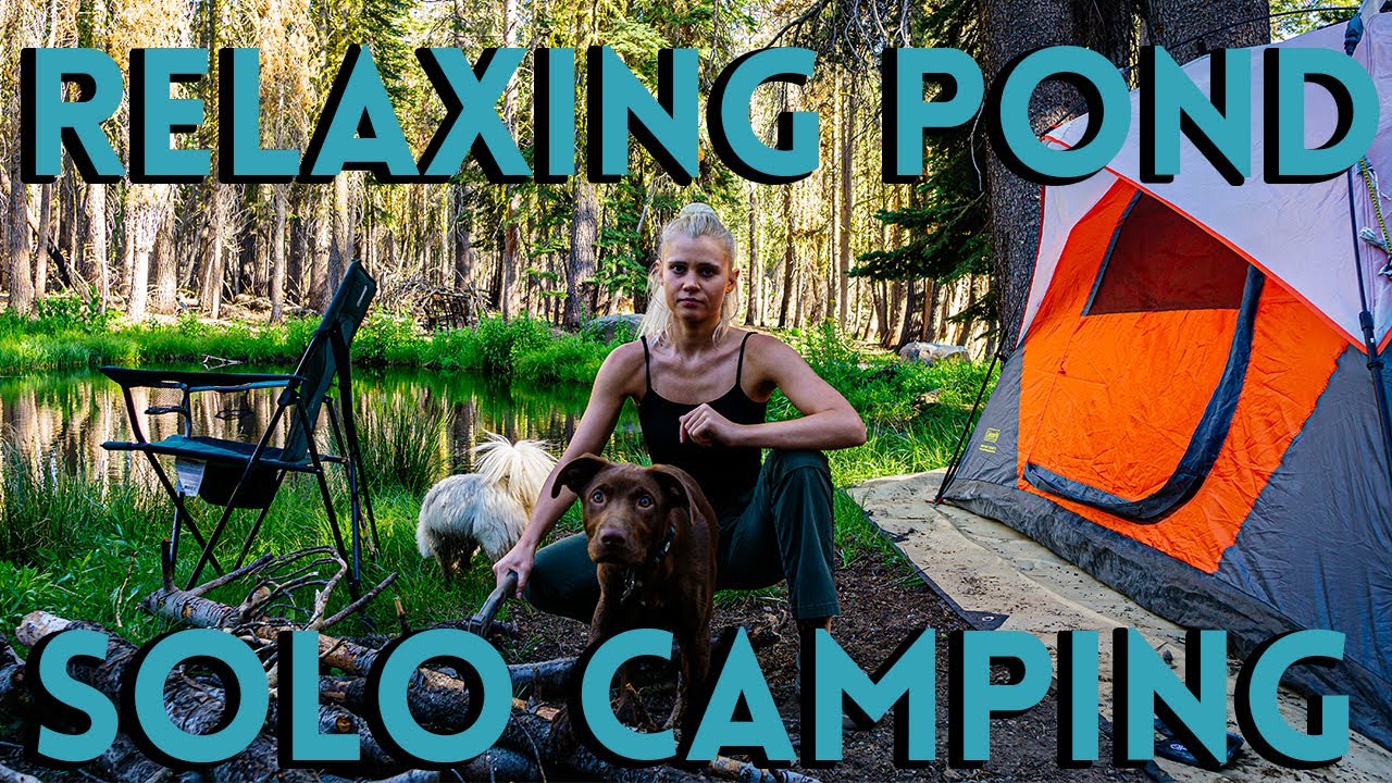 Relaxing Off-Grid CAMP by POND | Solo Women & Dogs | No Talking