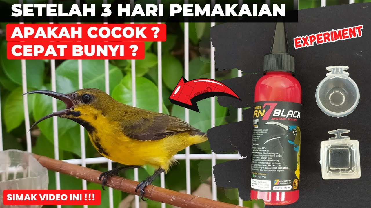 NYOBAIN NEKTAR SOGON DI PASARAN❗3 HARI PEMAKAIAN TERNYATA BEGINI HASILNYA❗