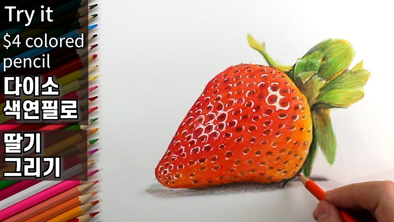 다이소 색연필 사용 후기 / 딸기 그리는 법 / 색연필 사용법 / 색연필 / 보태니컬 아트 / 색연필그림 / 색연필화 / 색연필 드로잉 기초 강좌