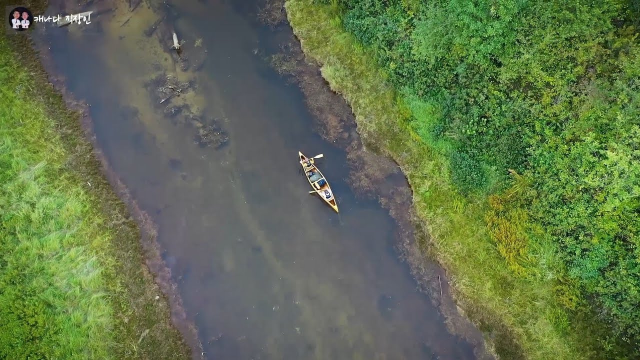 캐나다 카누 캠핑 / WIDGEON CREEK / 예약 없는 무료  선착순 캠핑장 / 날씨 좋은 가을의 여행