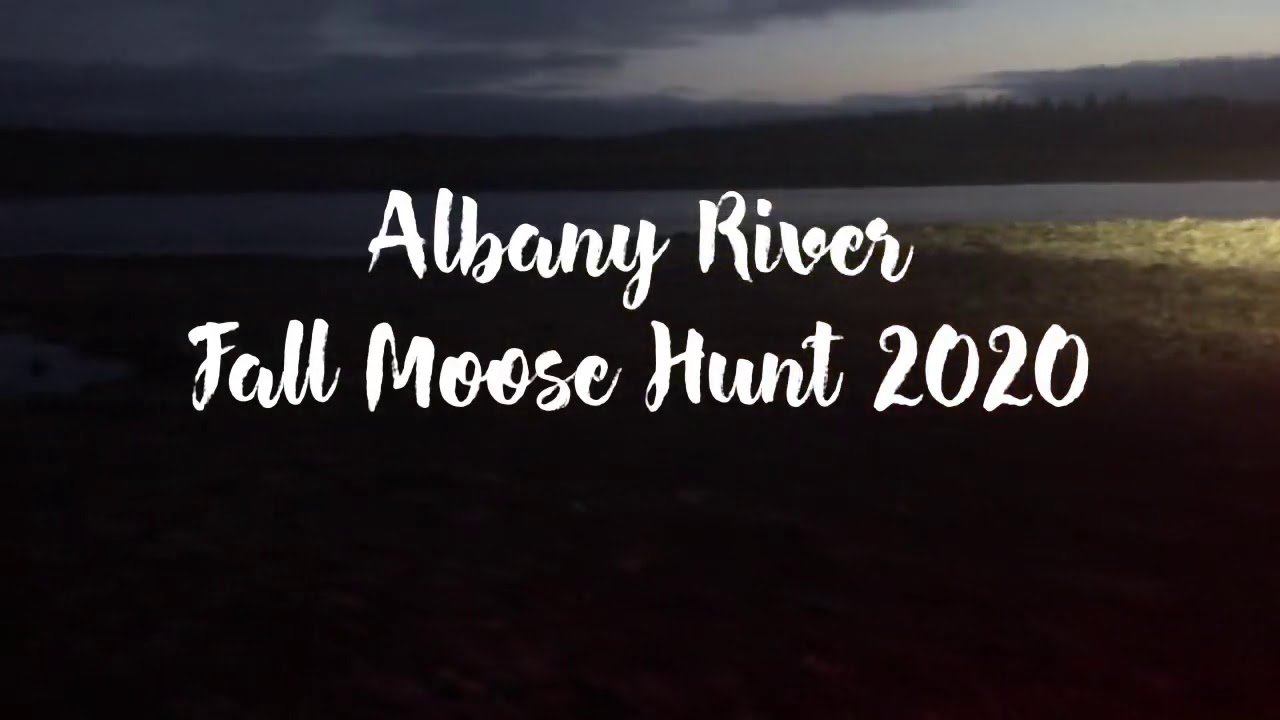 Albany River Fall Moose Hunt 2020