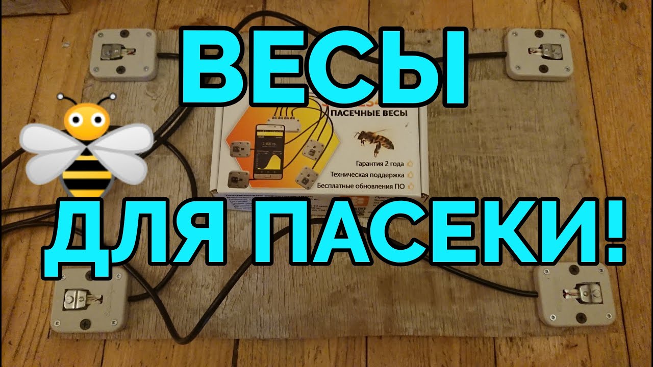 Весы для пасеки Scales4bee! Обзор пасечных весов с приложением для смартфона!