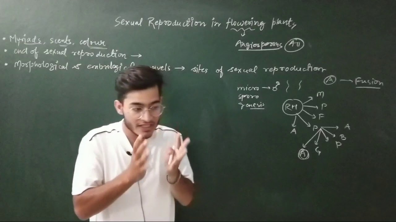 L1: Introduction to Sexual Reproduction in Flowering Plants by Vipin Sharma