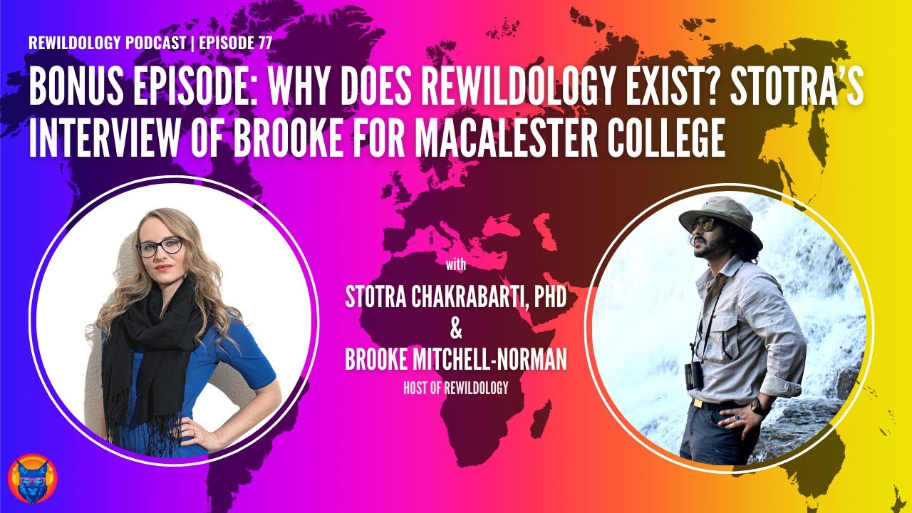 Ep. 77 | Bonus Episode: Why Does Rewildology Exist? Stotra&rsquo;s Interview of Brooke