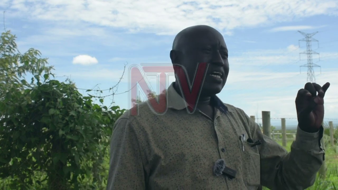 Nwoya leaders petition government over wild animal invasions