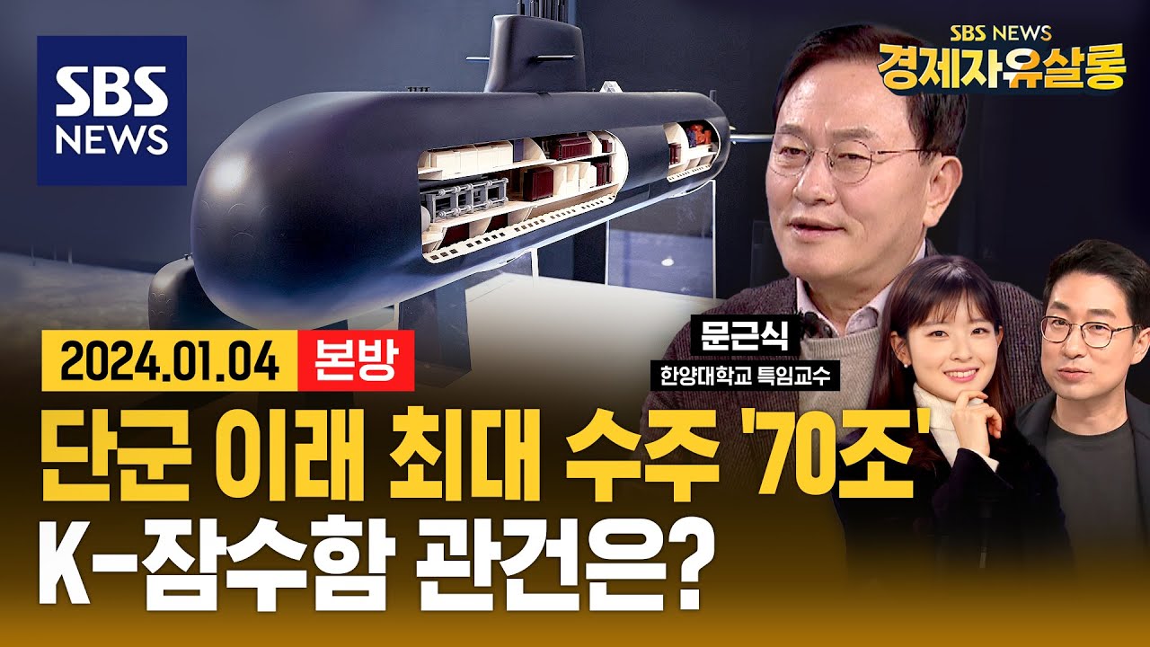 전쟁 특수 맞은 'K방산'..'70조 잠수함 수주' 물밑 작전 시작됐다 ft. 문근식 한양대학교 특임교수 /SBS/경제자유살롱