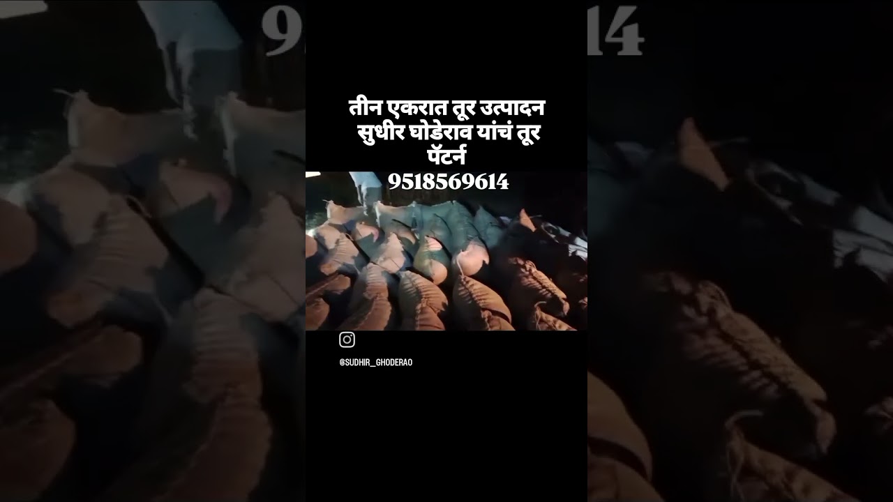 #सुयांश तूर स्वयं संशोधित #कमी खर्चात भरघोष उत्पादन 